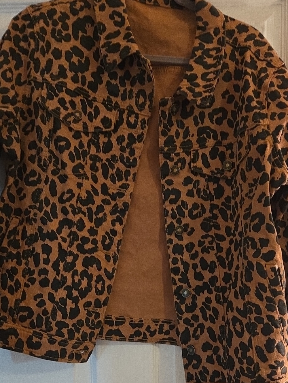 Leopard Print Women's Casual Jacket - Brown/Black